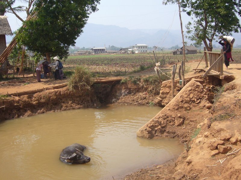 Travel - Myanmar - Inle Lake - Second Boat Trip - Back to The Boat